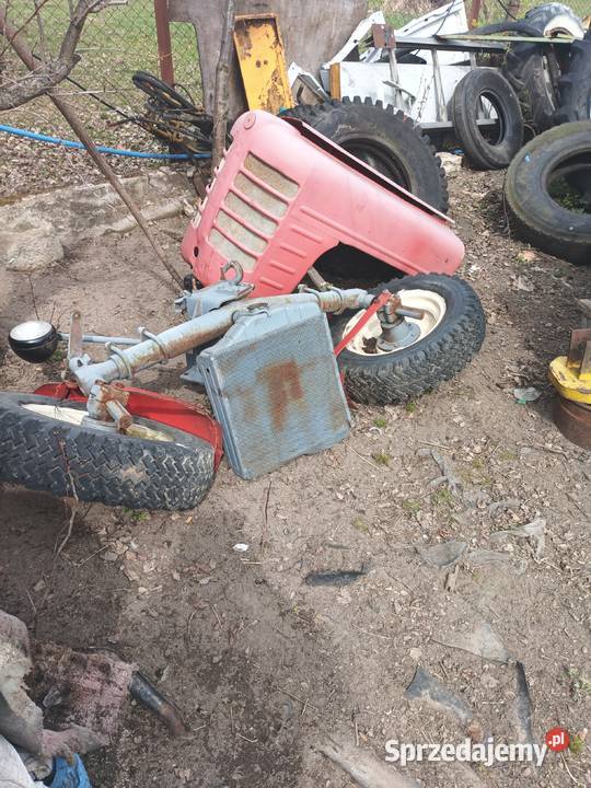 Ciagnik Zetor majorek 3011 Przysucha