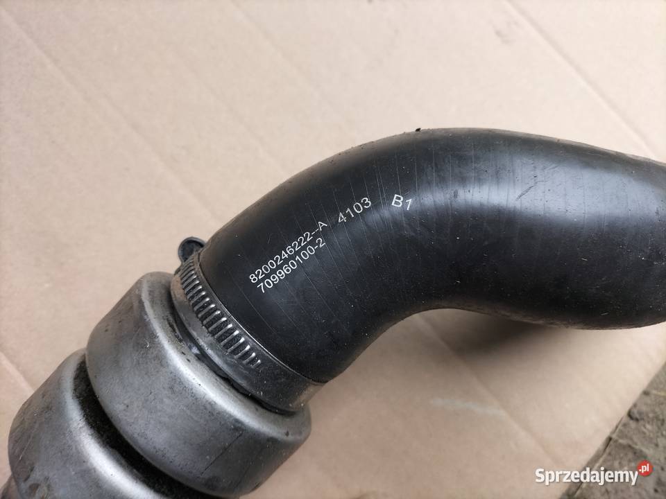 RENAULT SCENIC MEGANE II 19 DCI 8200185556 WĄŻ Kamień-Kolonia