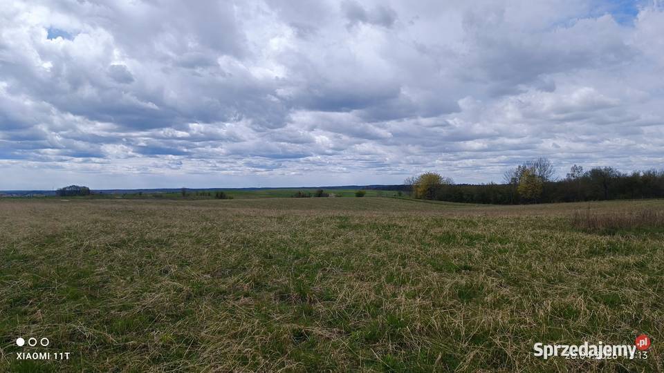 Działka z warunkami zabudowy bud 23zł/m2 Trelkowo