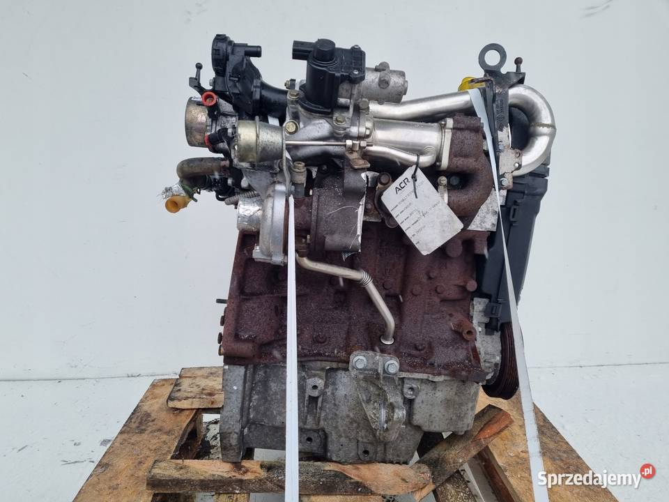 SILNIK KOMPLET Renault Megane II 15 DCI 86 Rudka