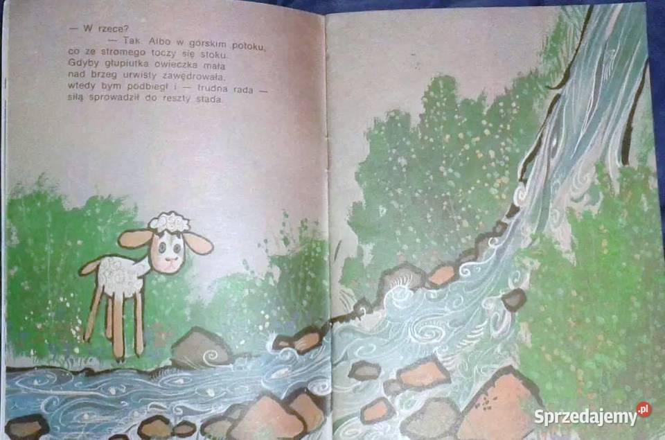 Baca Rinaldo Kazimierz Winkler miękka