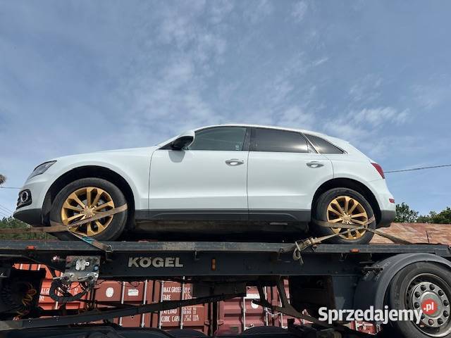 20TDi 190 Manual HAK ELKLAPA rozrzadzie Q5 pomorskie