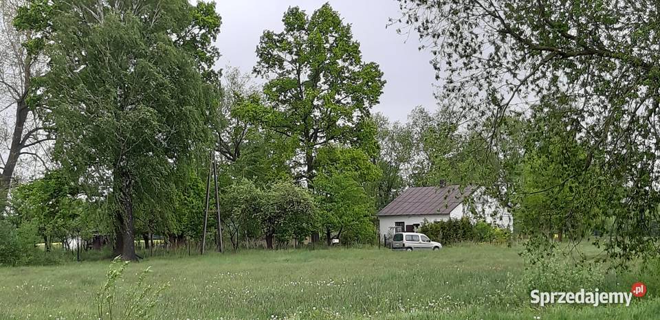 Mazury pod Warszawą ze stawem starymi dębami 54m sprzedam