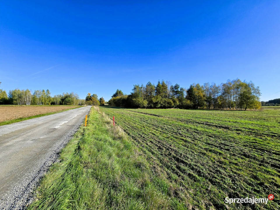 Działki budowlane Serock 15 jeziora Firlej Sprzedaż sprzedam