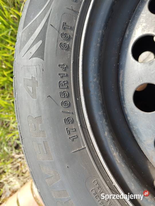 Koła samochodowe Renault Thalia r14 lato Pszczew