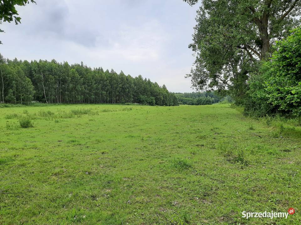 Kompleks działek 8,4ha z 8 WZ na Warmii, Krekole, powiat lidzbarski