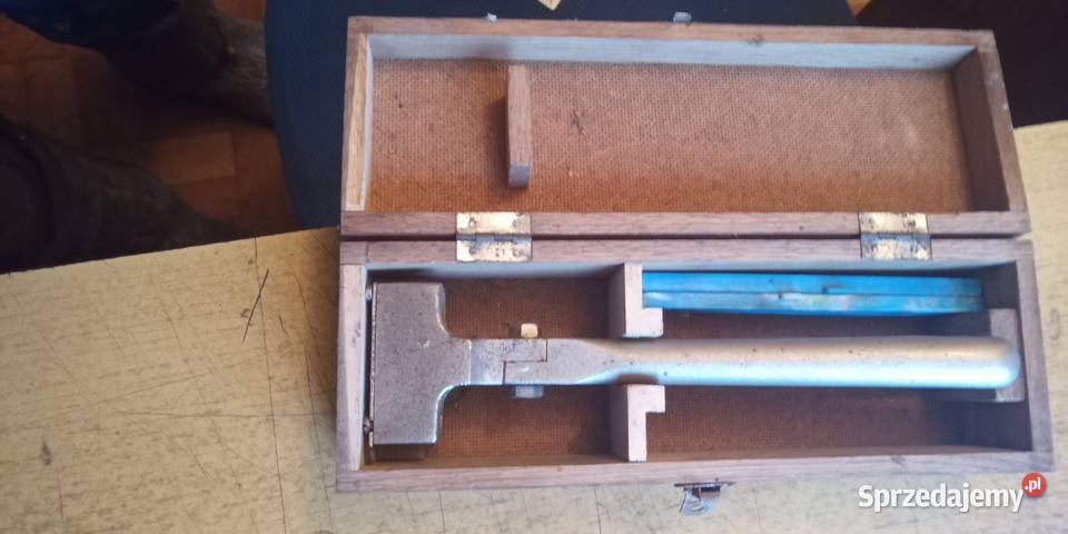 Tatuownica Hodowla trzody Więcbork