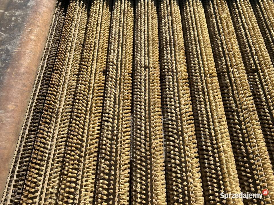 Szczotkarka do warzyw Wieluń