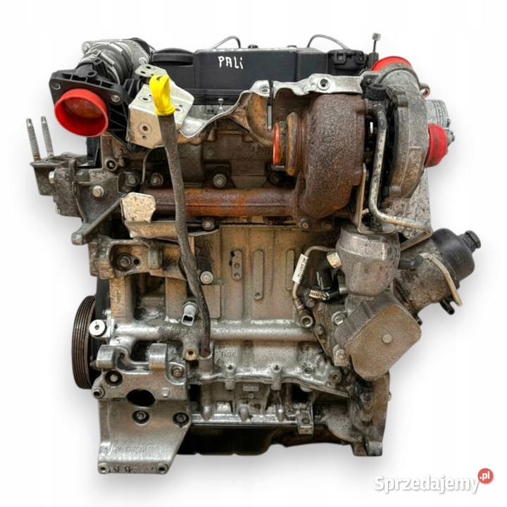 SILNIK KOMPLETNY G8DD Ford Focus II MK2 C C 16 Chełm