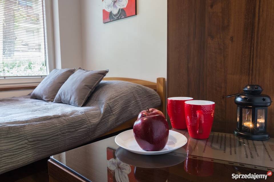 Wynajem pokoi i apartamentów w centrum Wakacje i podróże