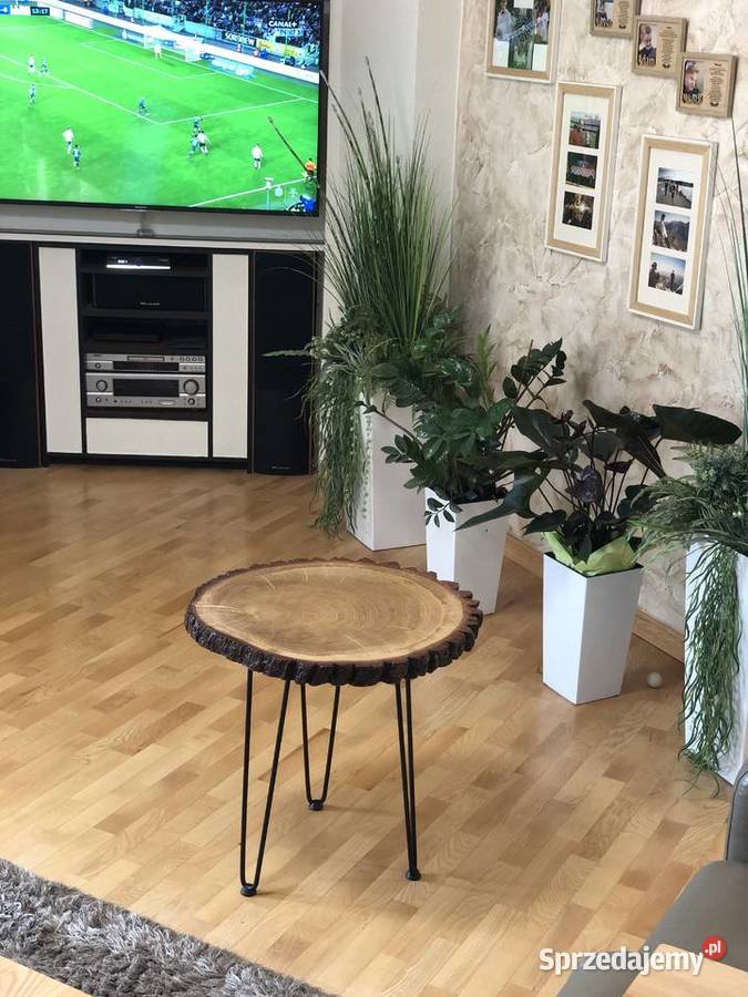 Stolik kawowy dębowy plaster dębu 55.5cm Grabów nad Prosną