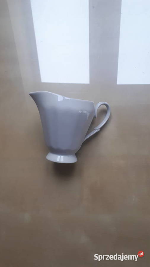 mlecznik biały Kamionki