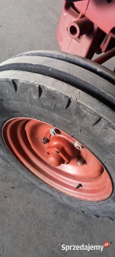 Wladymirec t25 oryginał igielka Jangrot