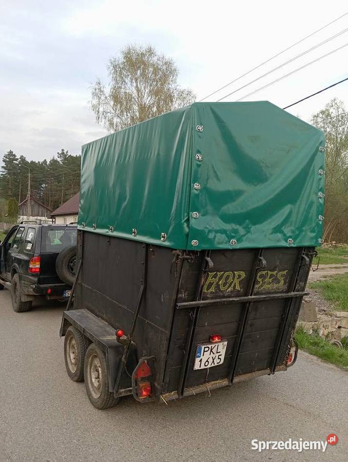 Przyczepa konna Bukmanka Pozostałe