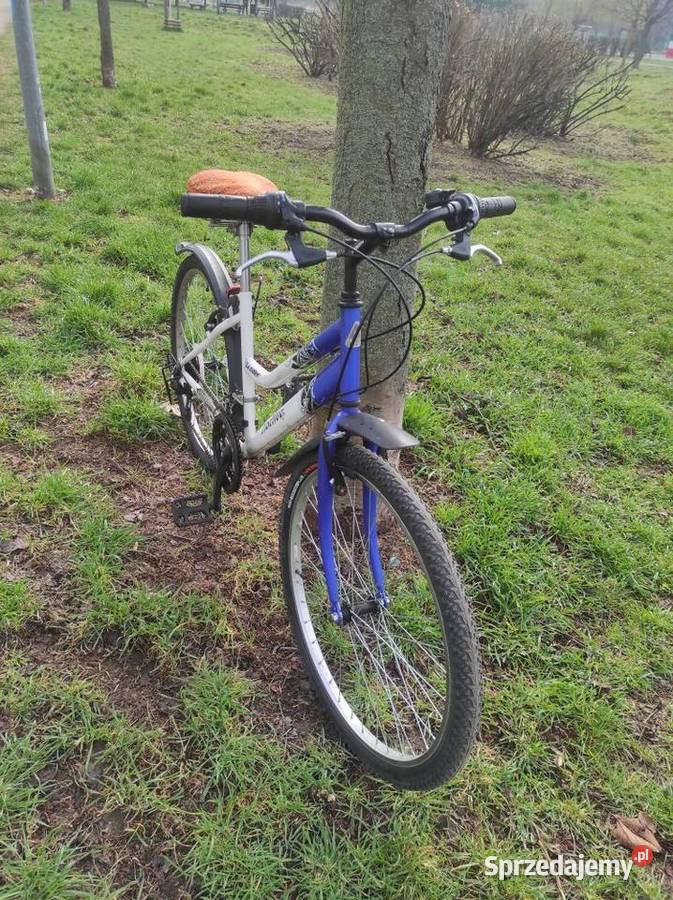 Rower miejski damka Active Leader koła 26 Wrocław sprzedam