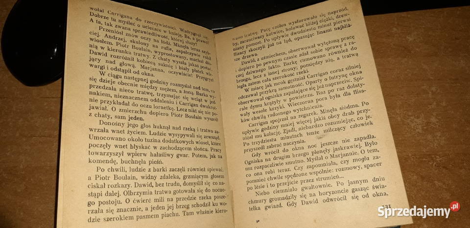 JOCURWOODPŁONĄCY LASWa1930pierwodruk No3224 cudo sprzedam