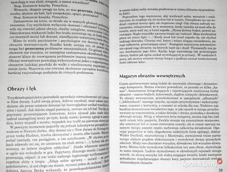 Wyobraźnia w psychoterapii Arnold A Lazarus Chełm