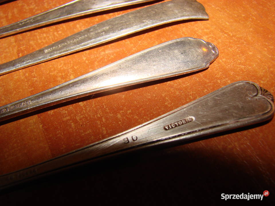 mały widelczyi plater Pruszcz Gdański