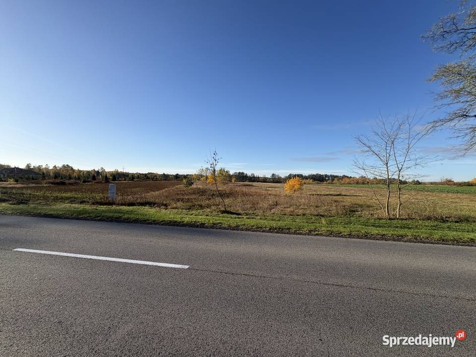 Syndyk sprzeda Sworzyce