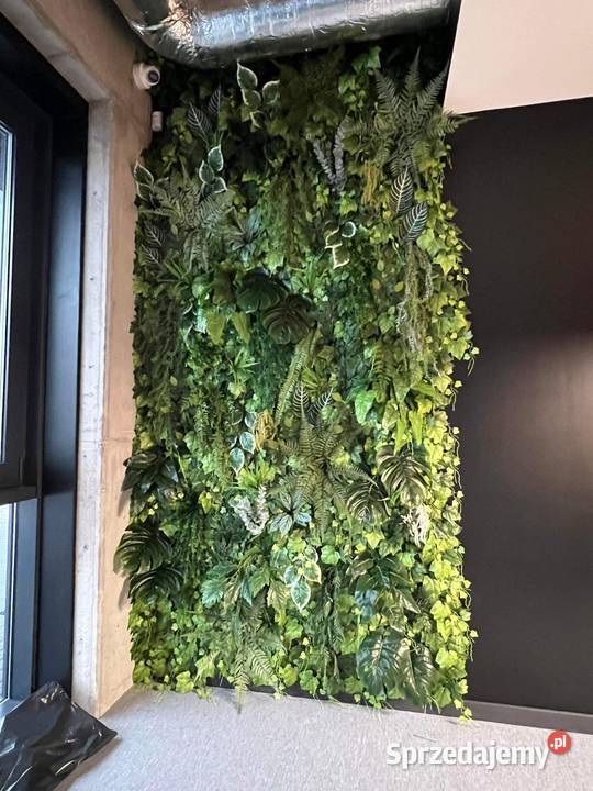 Ogród wertykalny sztuczna zielona ściana z Dom i Ogród Katowice