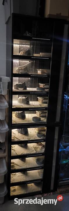 Rack system regał terrarium węże jaszczurki Rybnik