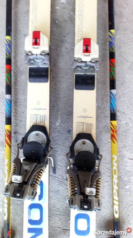 Narty podkarpackie Lesko