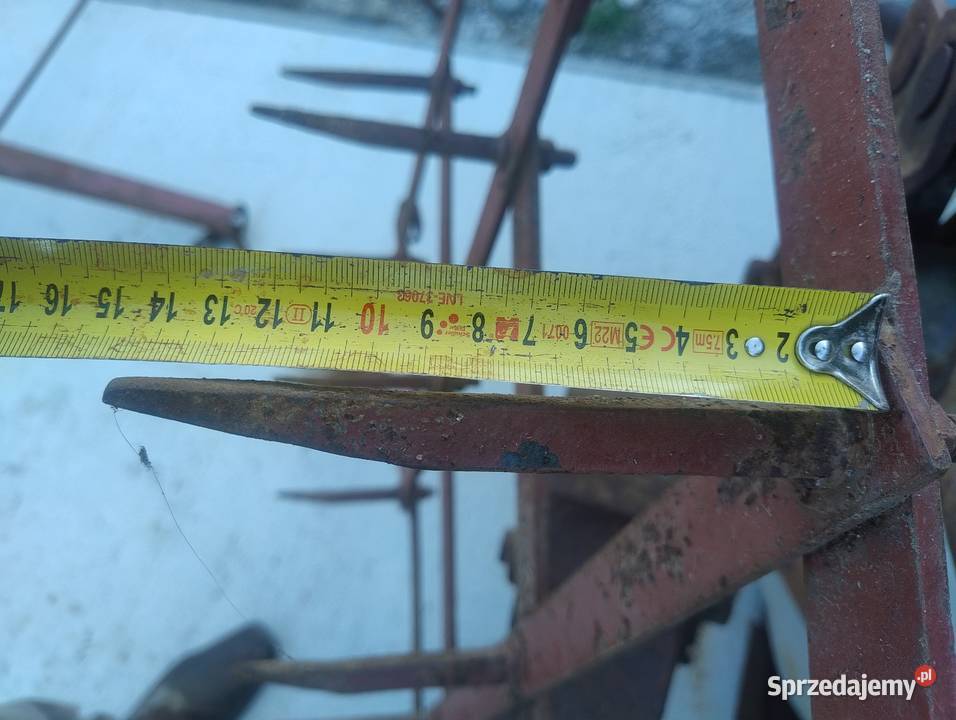 Brony 3 mazowieckie Radom