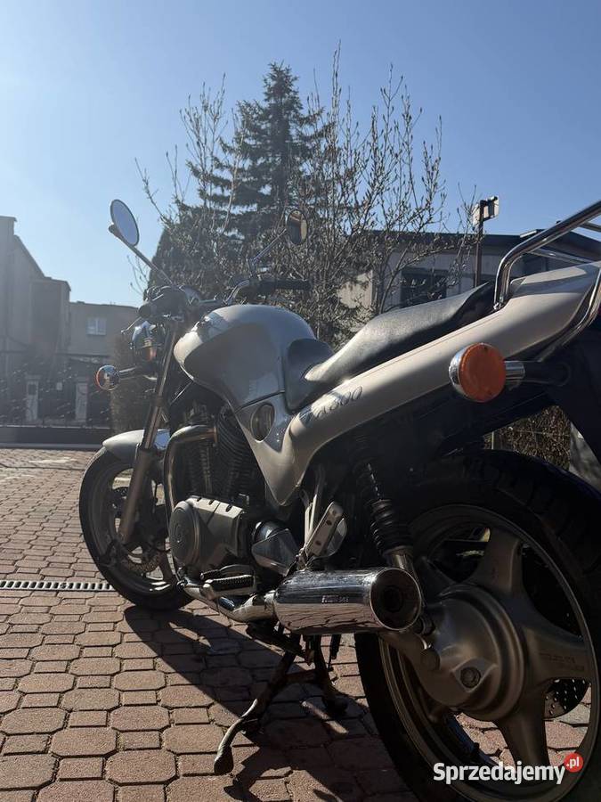 Suzuki VX800 Suzuki Białogard