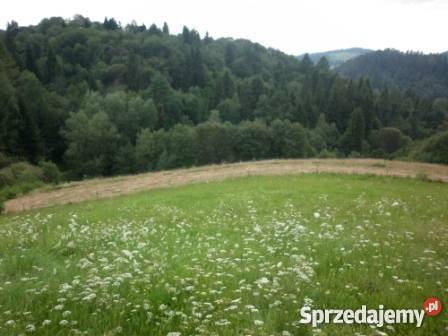 Sprzedam działkę w górach Milik