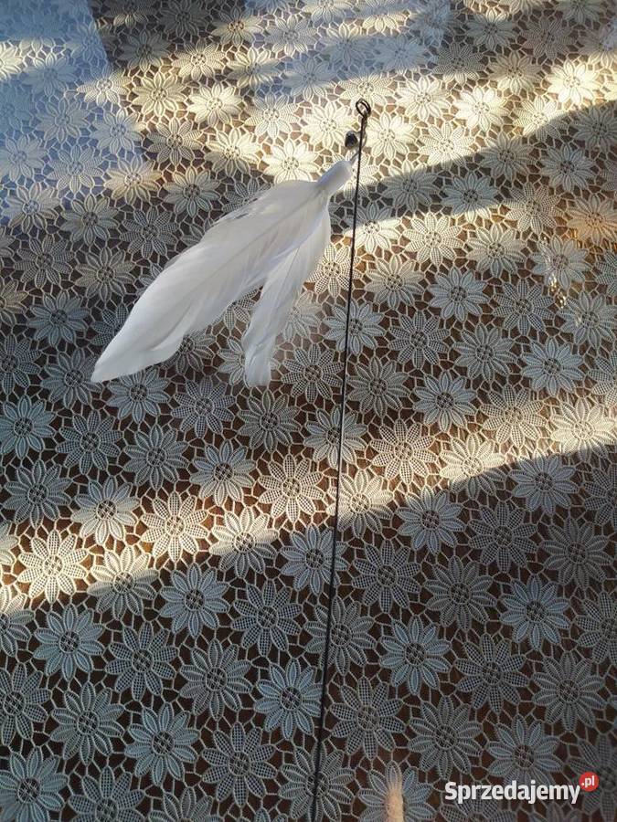 Zabawka piórko kota Kazimierza Wielka sprzedam