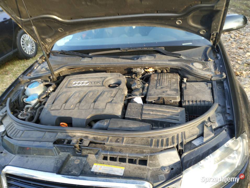 Sprzedam Audi A3 8P HB 5 drzwi 16TDI2012r A3 Tomaszewo sprzedam