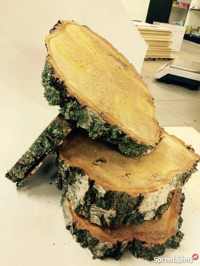 Plastry drzewa fleki drewno krojone płaskie Czarne sprzedam