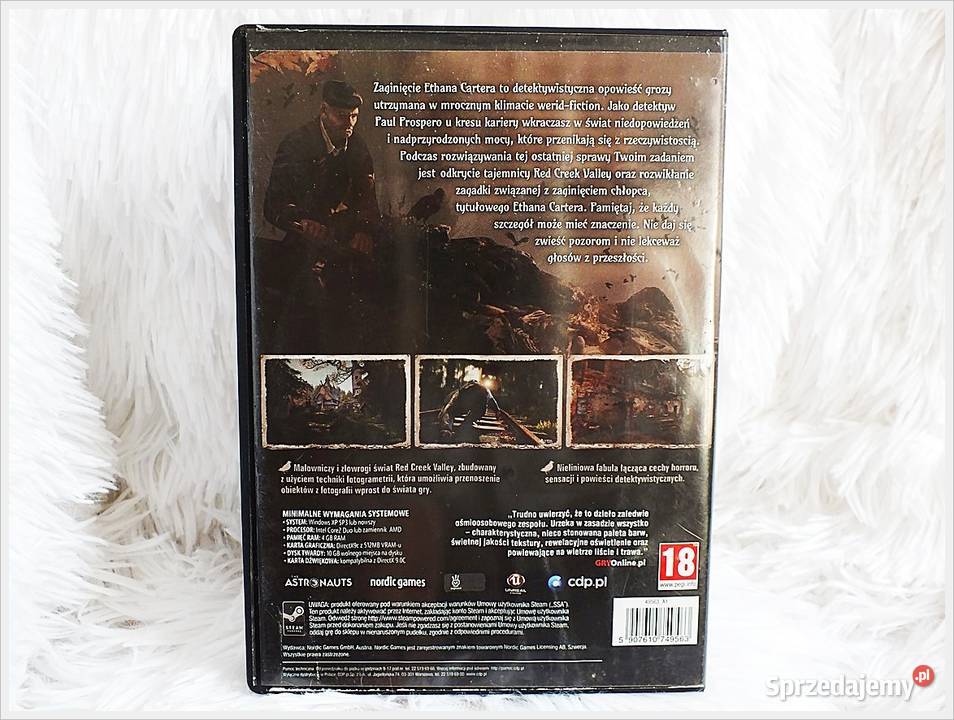 Gra PC Zaginięcie Ethana Cartera PC DVD