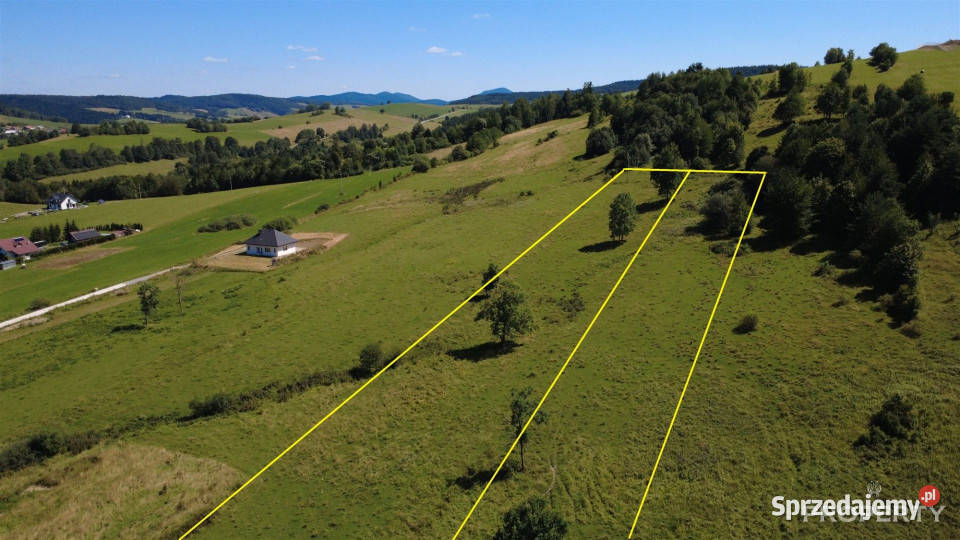 sprzedaży gruntu Berest 4900m2 sprzedam