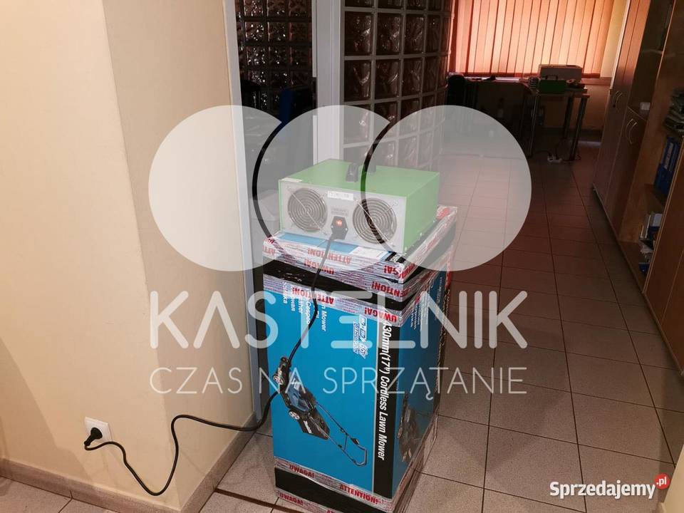 Odgrzybianie ścian Swarzędz Kastelnik Usuwanie wielkopolskie