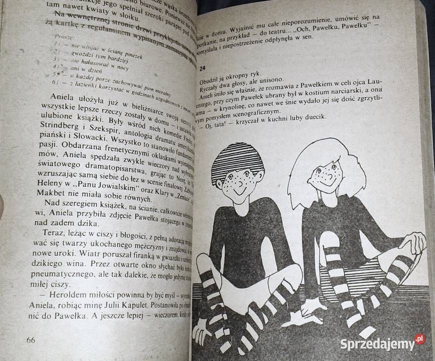 Kłamczucha Małgorzata Musierowicz Rok wydania 1989 lubelskie sprzedam