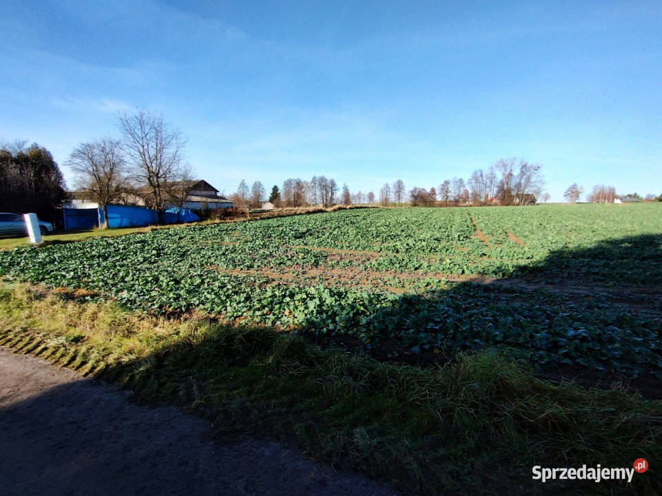 Działka 2000m2 Osowa szambo lubelskie