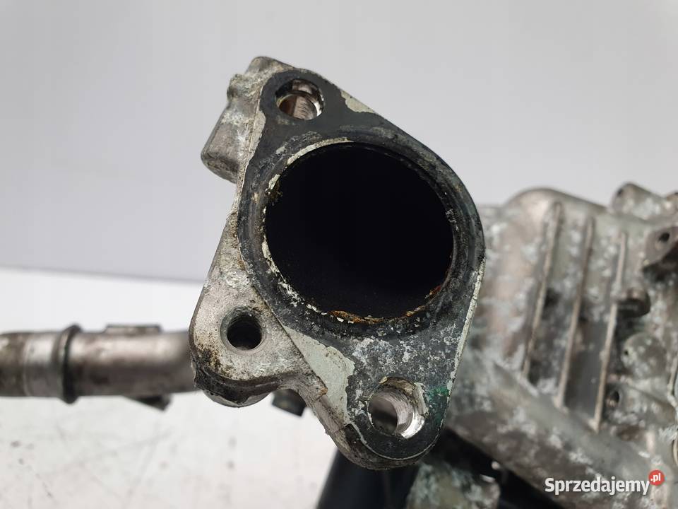 CHŁODNICA SPALIN EGR Ford Fiesta MK7 VII 15 TDCI Chełm