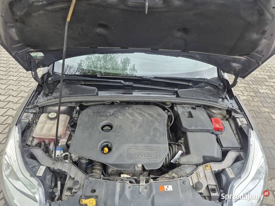 Ford Focus III 16d 116 Climatronic DOINWESTOWANY Bujaków