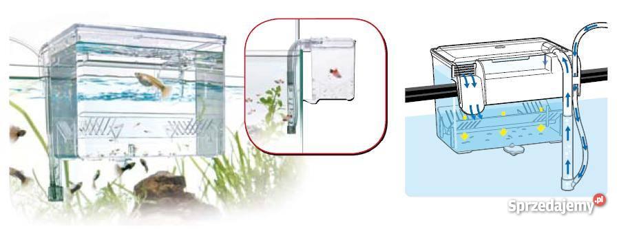 Kotnik plastikowy zewnętrzny Breeding Box Satell łódzkie Łódź