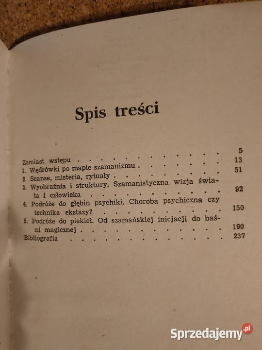 Podróże do piekieł Jerzy Sławomir Wasilewski Kościan sprzedam