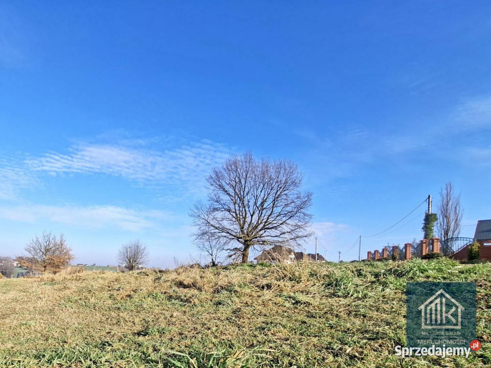 Grunt Szarów 1140m2 asfalt Sprzedaż