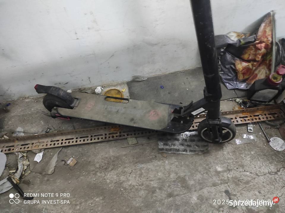 Hulajnoga kickster Legnica