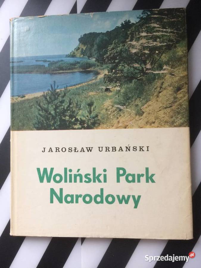 3581 Woliński Park Narodowy Antyki, Sztuka, Kolekcje
