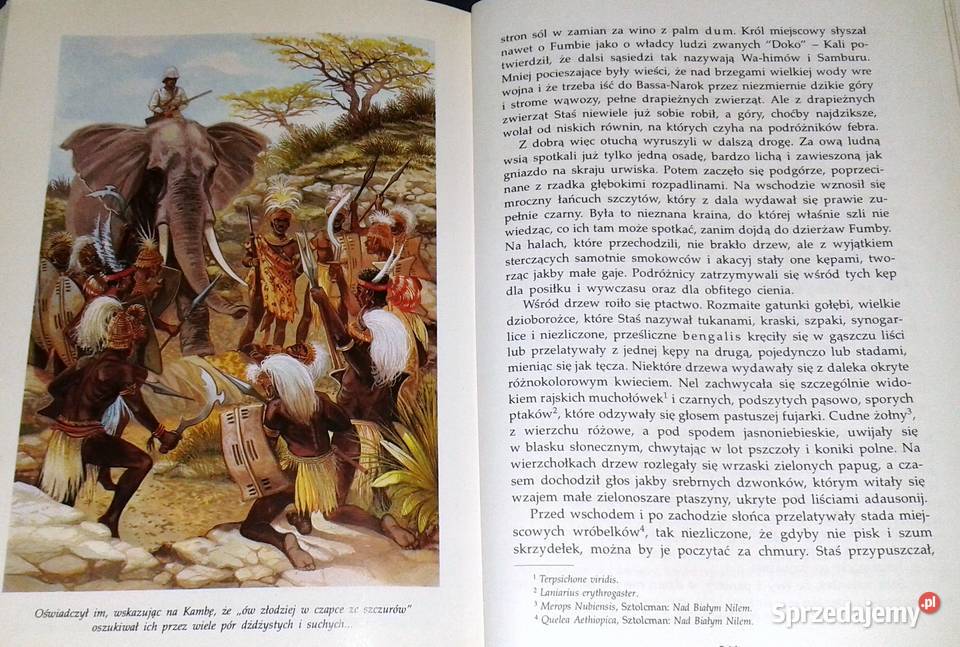 W pustyni i w puszczy Henryk Sienkiewicz Pozostałe Chełm