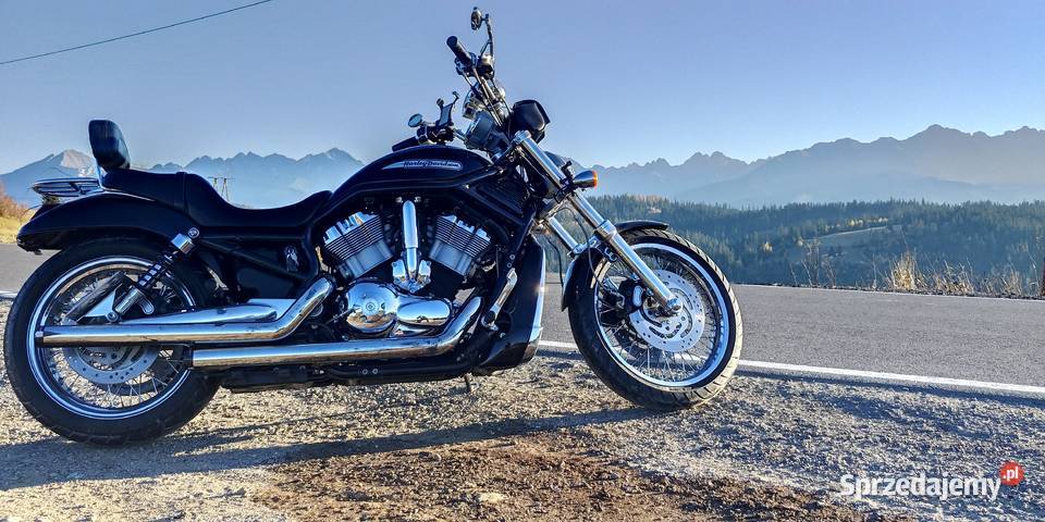 Piękny okaz Harley Davidson V ROD 2004r szprychy Kalwaria Zebrzydowska