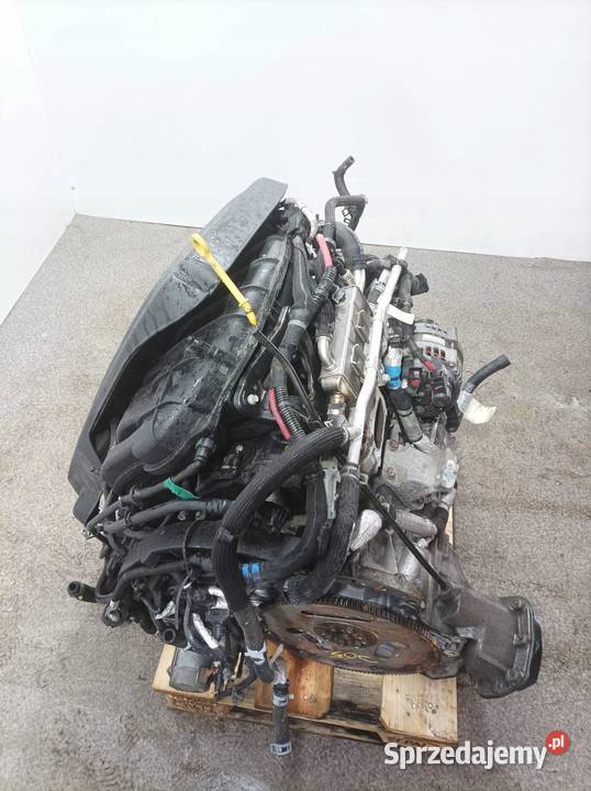 SILNIK KOMPLETNY BENZYNA P68233205AC 36 świętokrzyskie