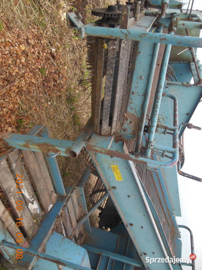 Kombajn do Ziemniaków Bolko Bolek z 643 Claas Skalbmierz