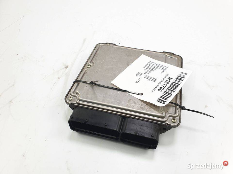 KOMPUTER SILNIKA ECU AUDI A8 D3 4E0907409B Lipno