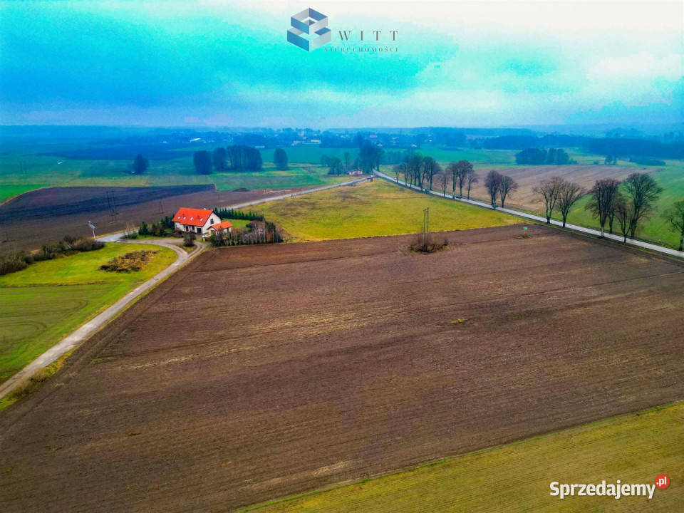 sprzedaży działki 1320m2 Filice szambo Sprzedaż